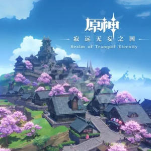 原神-雷电将军：净土裁断 钢琴独奏-何妄何执