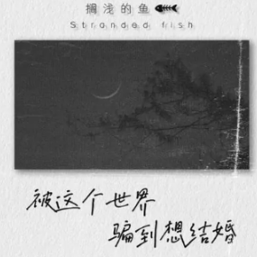 被这个世界骗到想结婚