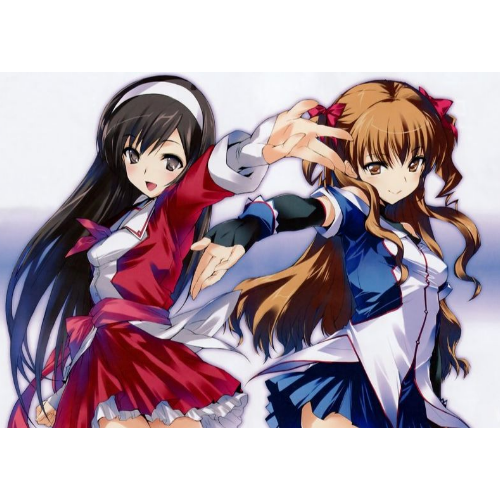 WHITE ALBUM