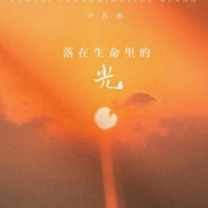 来过我生命的你吉他谱谱