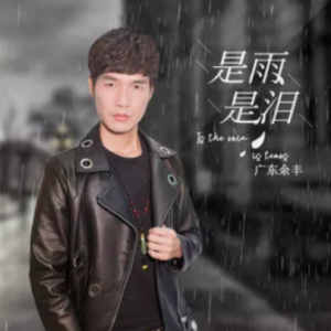风度吉他谱c调抖音