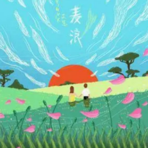 伍伍慧用什么吉他谱