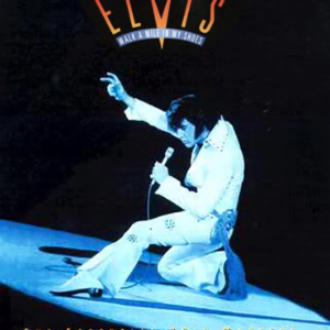 Always On My Mind-Elvis Presley经典-钢琴谱