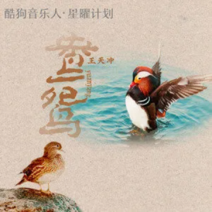鸳鸯//王天冲-原调