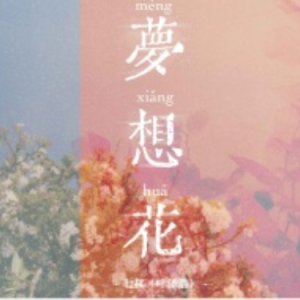 七叔（叶泽浩） 《梦想花》原调精简版