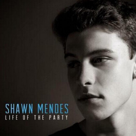 Life of the Party-肖恩·蒙德兹-Shawn Mendes-独奏版-钢琴谱-钢琴谱