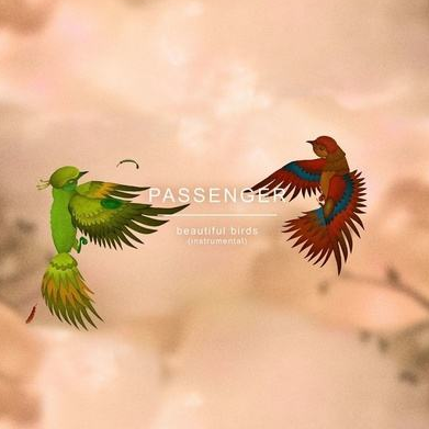 Beautiful Birds