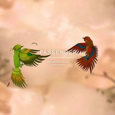 Beautiful Birds-五线谱-简谱-钢琴谱-PassengerBirdy钢琴谱