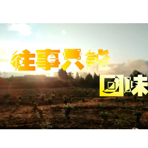 回忆往事吉他谱