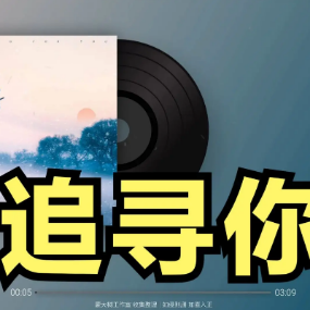 为爱追寻吉他谱