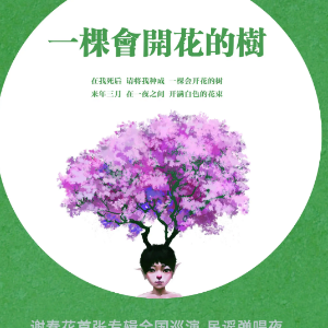 失落的树范琦吉他谱