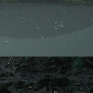 《孤岛》-赵二如一-钢琴谱