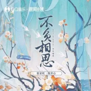 白山茶吉他谱扫弦张家旺