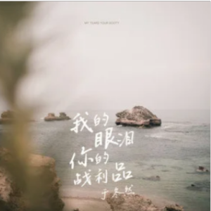 这是你的眼角流着我的泪吉他谱