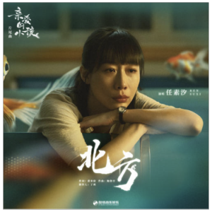 任妙音风筝吉他谱