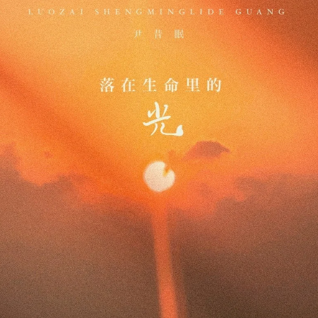 落在生命里的光