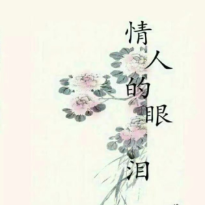 情人的眼泪-王梵浩演奏版钢琴谱