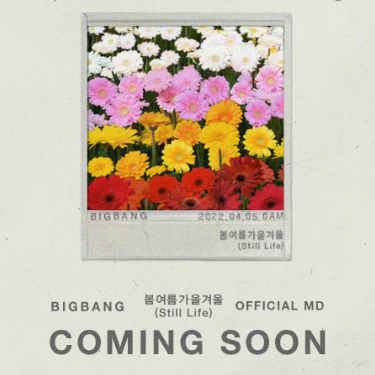 BIGBANG回归新曲《Still Life》C调钢琴谱