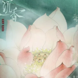 饿狼传说张靓颖吉他谱6