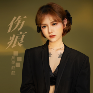 姐姐姐姐站起来吉他谱c调