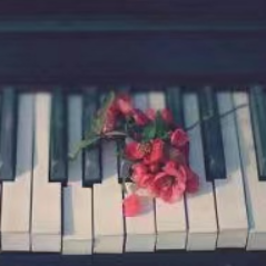 A Llittle Story