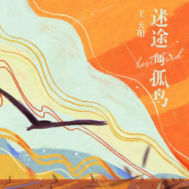 孤鸟 吉他谱