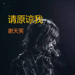 都不在重要吉他谱谢天笑