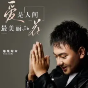 爱是你爱是我吉他谱