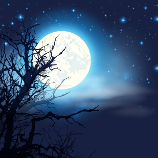 夜空下的美