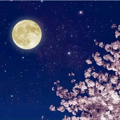 月亮代表我的心-邓丽君C调-钢琴谱