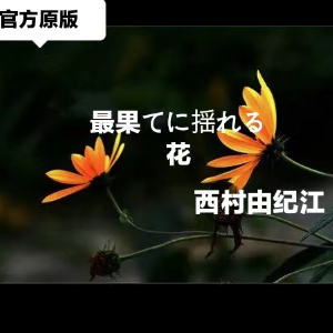 最果てに揺れる花（最后摇曳的花）西村由纪江-钢琴谱