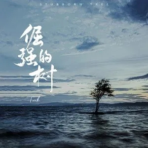 早春的树弹唱吉他谱