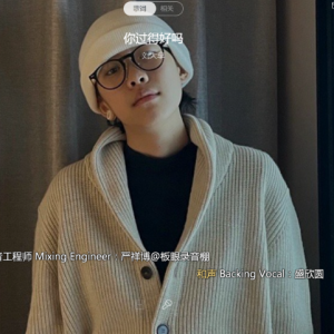 凌风歌曲你好吗吉他谱