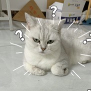 菊花台的演奏视频