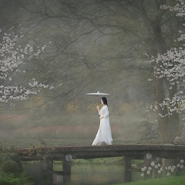 飞花