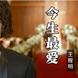 一生中最爱吉他谱