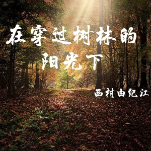 在穿过树林的阳光下 西村由纪江-钢琴谱