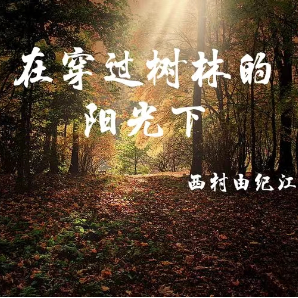 在穿过树林的阳光下