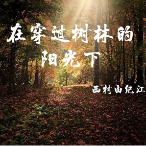 在穿过树林的阳光下(原调移高一个半音) 西村由纪江-钢琴谱
