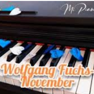 【优美】Wolfgang Fuchs - November钢琴谱