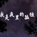 我是夜里的孤独 大美  简单完整版-钢琴谱