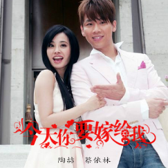 花的嫁纱王心凌吉他谱