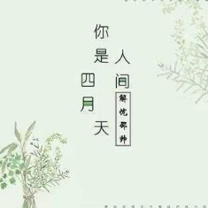 是人间四月天吉他谱