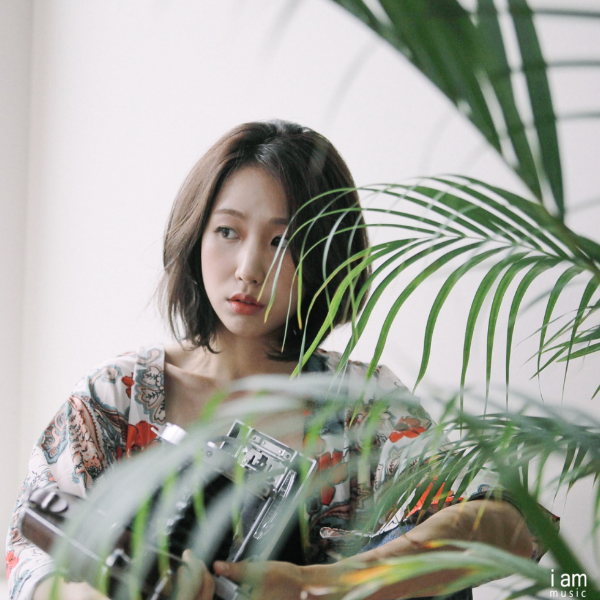 여름밤
