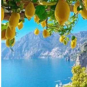 Lemon Tree (苏慧伦)