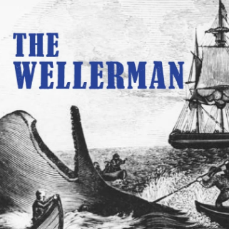 The Wellerman钢琴简谱 数字双手