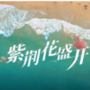 在那桃花盛开的地方吉他谱弹唱