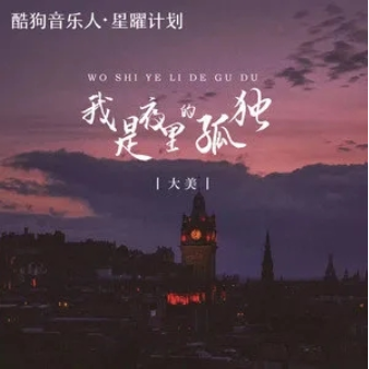 我是夜里的孤独