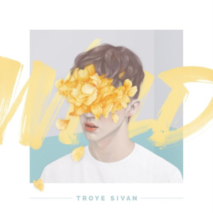 Fools-Troye Sivan-钢琴谱