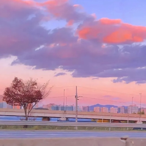 月明かり (须釜俊一)